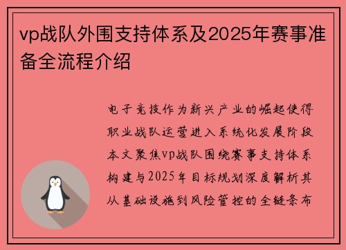 vp战队外围支持体系及2025年赛事准备全流程介绍