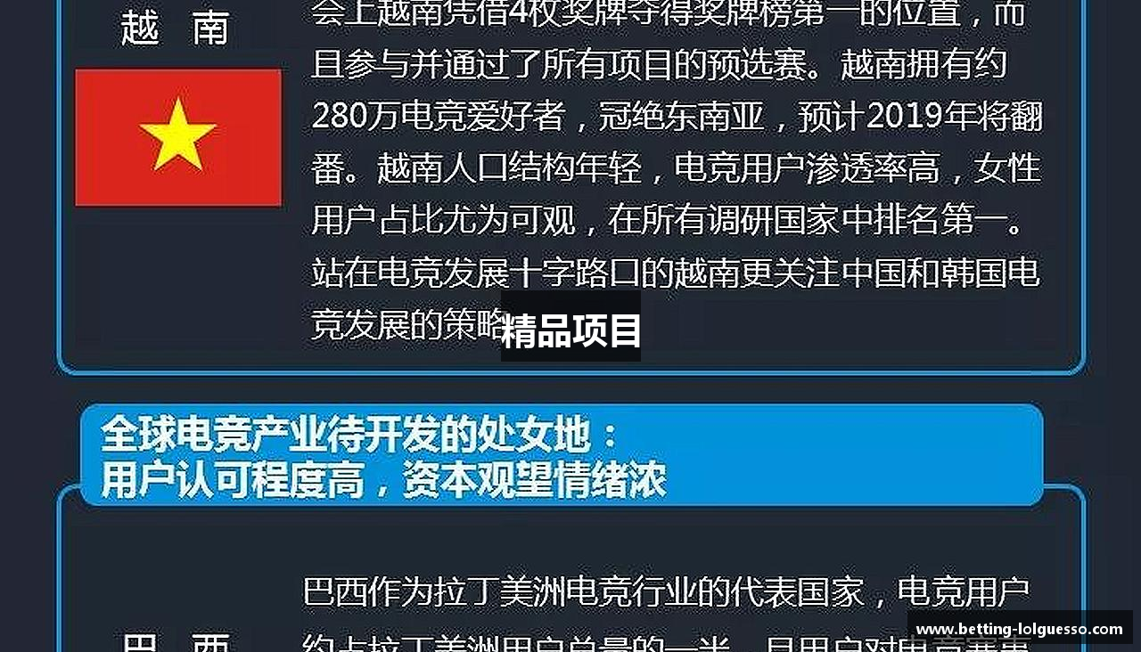 精品项目